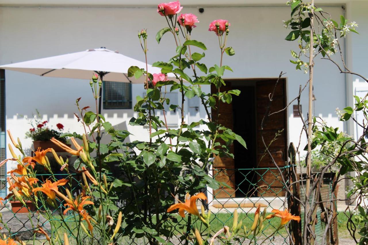 Fagnano Olona Il Casolare Del Medio Olona Bed & Breakfast エクステリア 写真