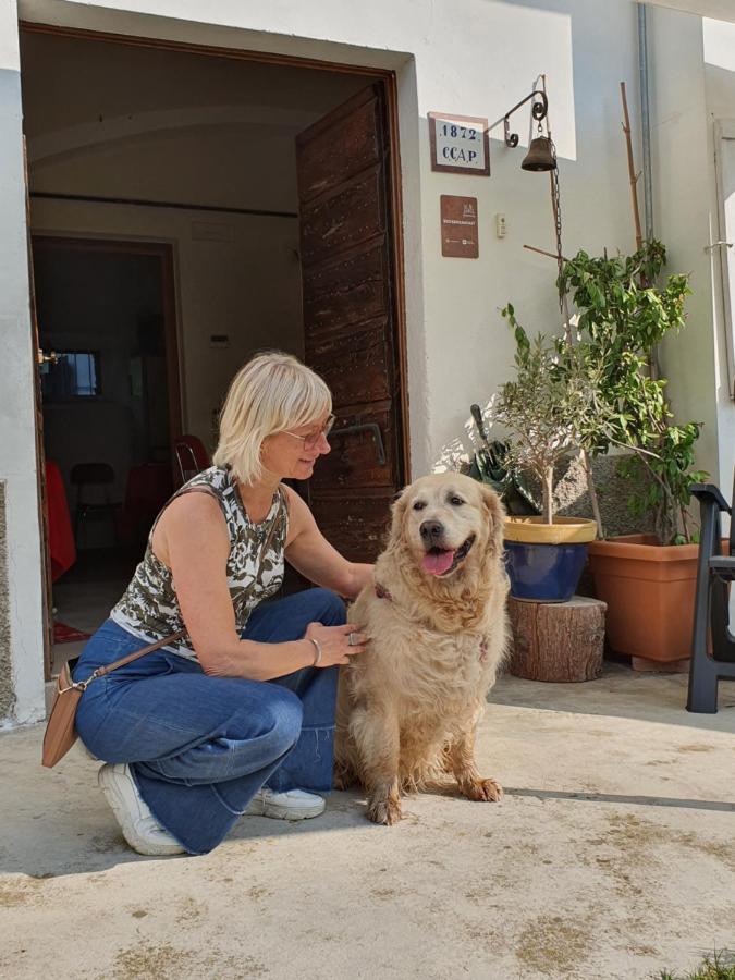Fagnano Olona Il Casolare Del Medio Olona Bed & Breakfast エクステリア 写真
