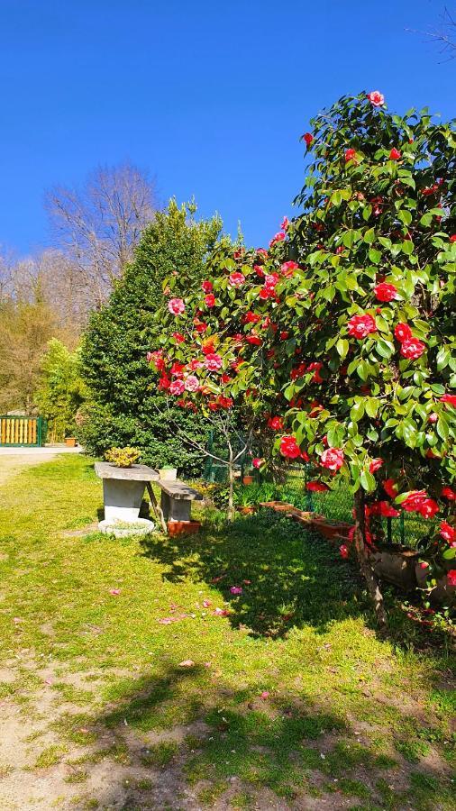 Fagnano Olona Il Casolare Del Medio Olona Bed & Breakfast エクステリア 写真