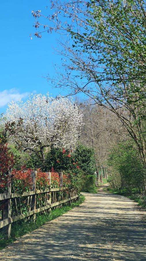 Fagnano Olona Il Casolare Del Medio Olona Bed & Breakfast エクステリア 写真